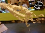 Python molure squelette 3D