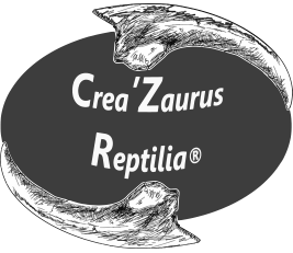 CREAZAURUS REPTILIA